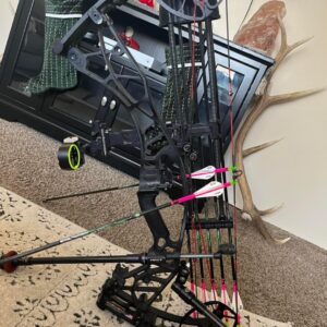 Hoyt bow